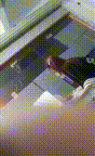 1 00_00_00-00_00_30.gif
