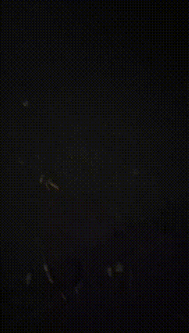 2 00_00_00-00_00_30~2.gif